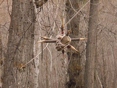 retards-set-traps-park-01.jpg