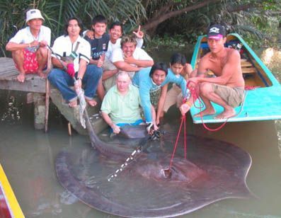 giant-stingray.JPG