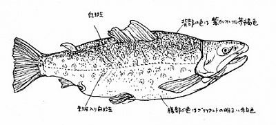 takitaro.jpg