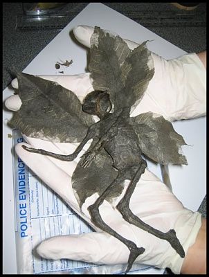 fairy1.jpg