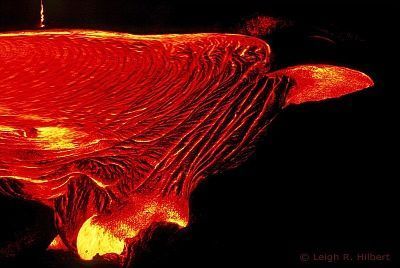3053960_18a545c0c9_b.jpg