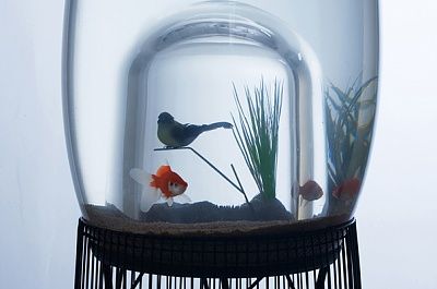 creative-aquariums-18-1.jpg