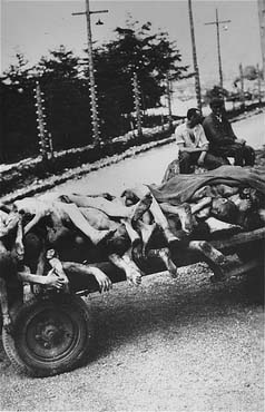Austrian civilians rest after having loaded their cart with the bodies of Ebensee prisoners whic.jpg