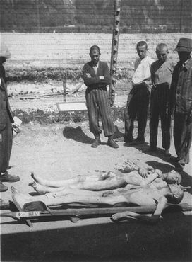 Survivors in Ebensee collect the bodies of dead fellow prisoners for burial.jpg