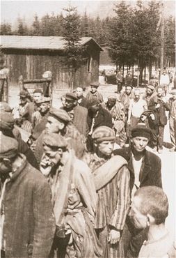 Survivors leaving Ebensee.jpg