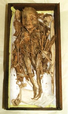 monster_mummy_4.jpg