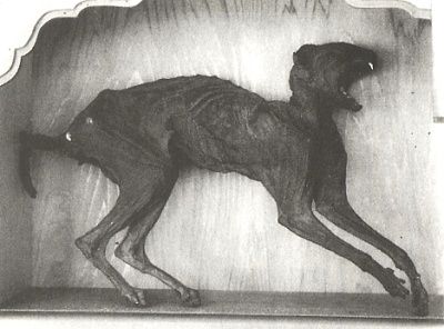 monster_mummy_7.jpg