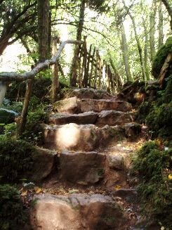 stonesteps.JPG