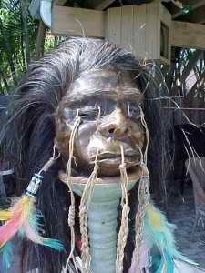 shrunken_head_med_best_tribal_warfare_1.jpg