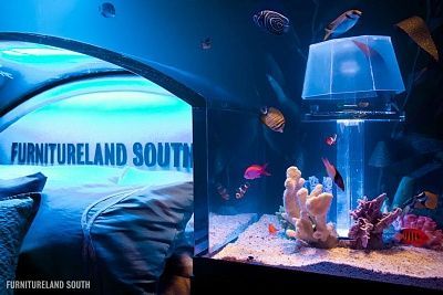 fish-tank-headboard-above-bed-furnitureland-south-1.jpg