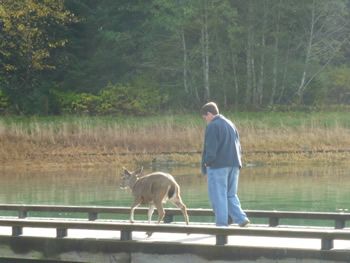 deer_rescue_alaska_025.jpg
