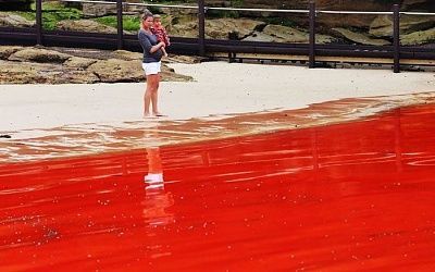 blood_ocean_001.jpg