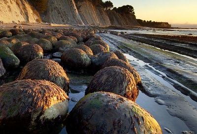 bowling-20ball-20beach.jpg