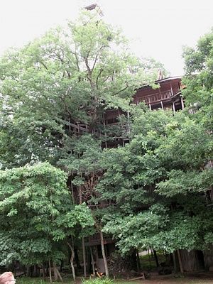 worlds-biggest-tree-house-horace-burgess-2.jpg