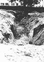 A mass grave dug by Jewish forced laborers for the bodies of individuals murdered by the NKVD in.jpg