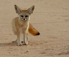 2092022_thumb[1].jpg