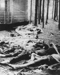 corpses-found-u.s.-soldiers-after-liberation-gunskirchen-camp.jpg