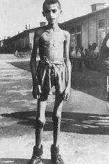 A 13-year-old orphan, a survivor of the Mauthausen concentration camp.jpg