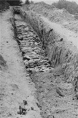 A mass grave at the Mauthausen concentration camp.jpg
