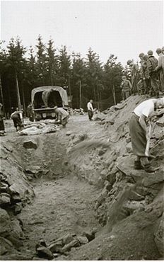 American soldiers look on as Austrian civilians prepare a mass grave to bury former inmates.jpg