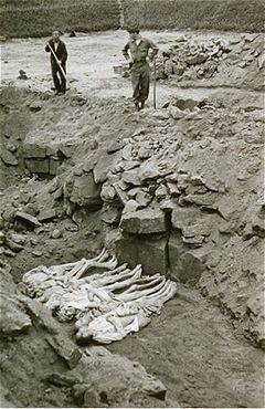 An American soldier looks on as an Austrian civilian buries the bodies of former inmates.jpg
