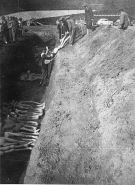Austrian civilians drop the bodies of former prisoners into a mass grave.jpg