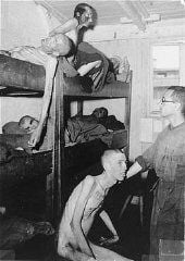 Barracks in the Mauthausen camp.jpg