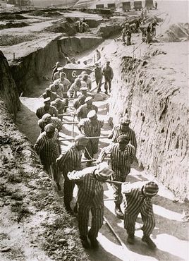 Concentration camp inmates at forced labor hauling cartloads of earth for the construction of th.jpg