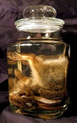 fluid.jpg