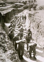 Forced labor in the quarry of the Mauthausen concentration camp0.jpg