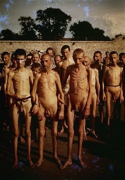 Group portrait of naked survivors in the Mauthausen concentration camp1.jpg