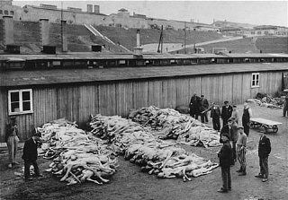 Piles of corpses, soon after the liberation of the Mauthausen camp.jpg