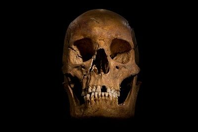 ing-richard-iii-skeleton-bones-body-found-university-leicester-14.jpg