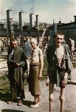 Survivors in the 'Russian Camp' section of Mauthausen.jpg