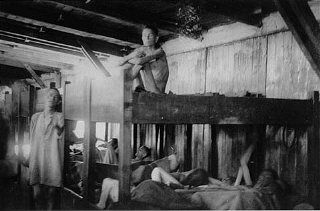 Survivors of the Mauthausen concentration camp.jpg