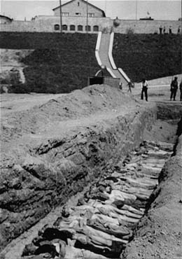 The bodies of former concentration camp inmates are laid out in a mass grave.jpg