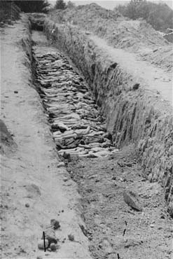 The bodies of former prisoners are laid out in a mass grave at Mauthausen.jpg