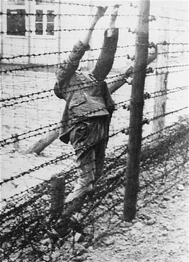 The body of a Soviet prisoner of war who committed suicide on an electrified barbed wire fence.jpg