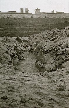 View of a mass grave dug by Austrian civilians to bury former inmates.jpg