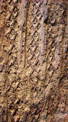 fossiltrack01.jpg