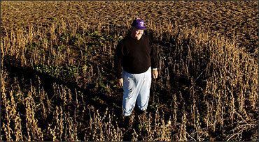 cropcircle.jpg
