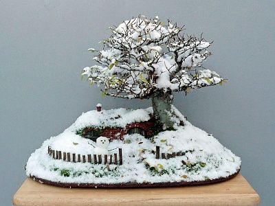 bonsai-baggins-hobbit-home-chris-guise-2.jpg