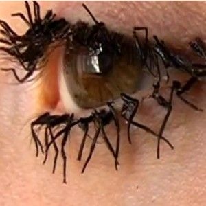 flyleglashes.jpg
