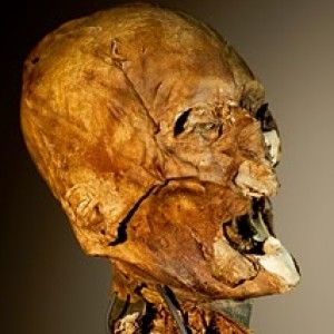 skull.jpg