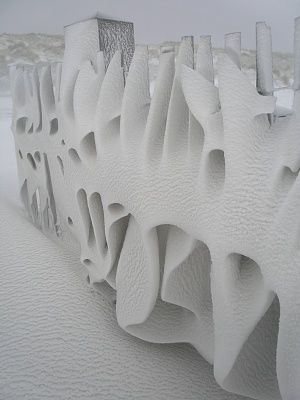 snowdrift-20neth.jpg