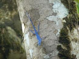images20.jpg