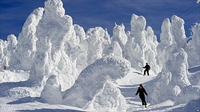 skiingjapan.jpg