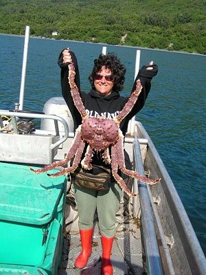 king_crab.319115920_std.jpg