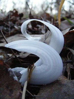 frost-202.jpg