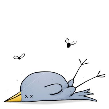 Name:  ist2_2697455_dead_bird_with_flies_vector_300dpi_jpg_tif.jpg
Views: 3743
Size:  40.0 KB